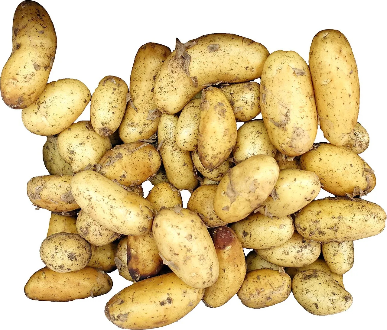 Maris Piper Potatoes