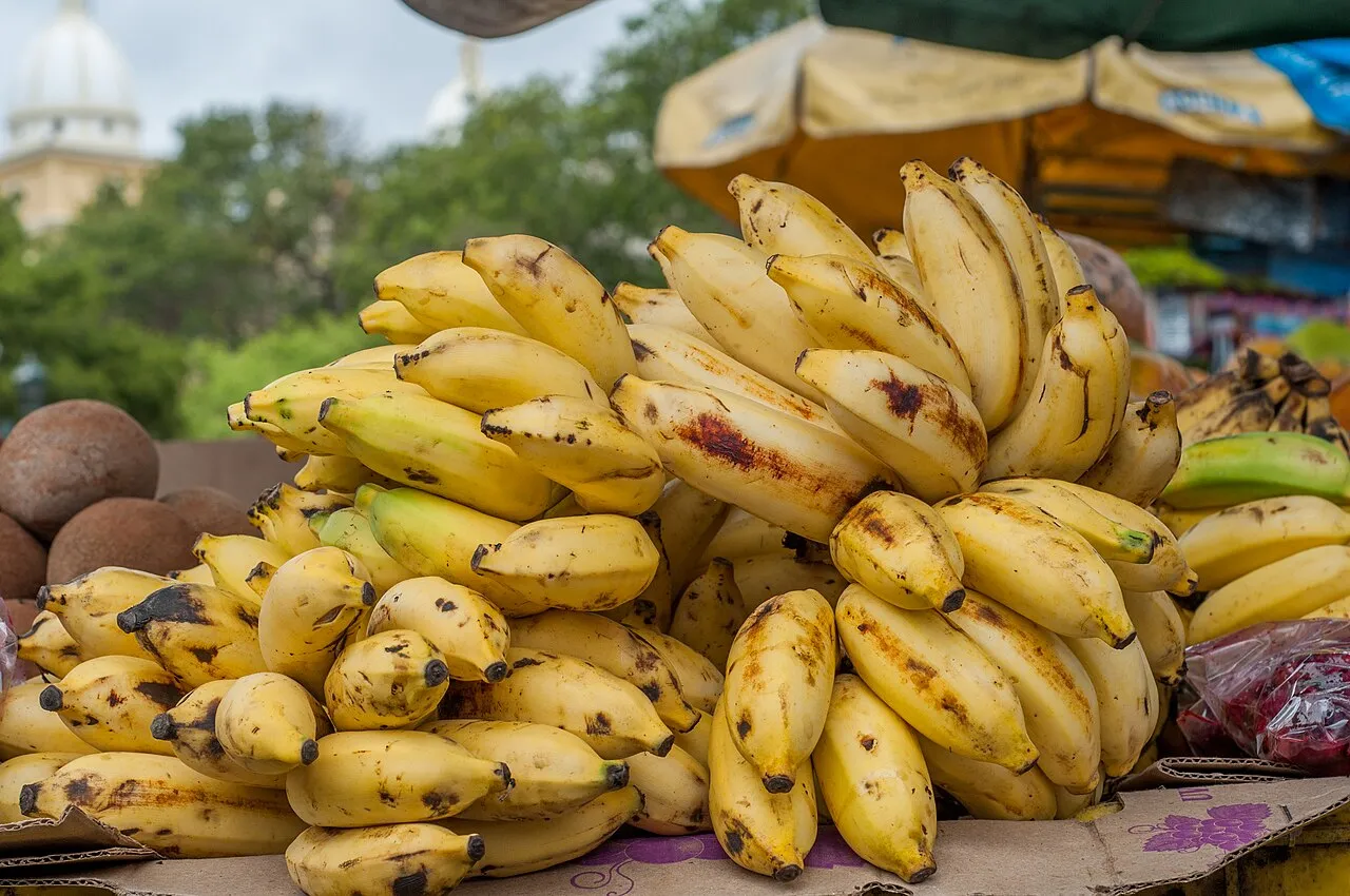 Bananas