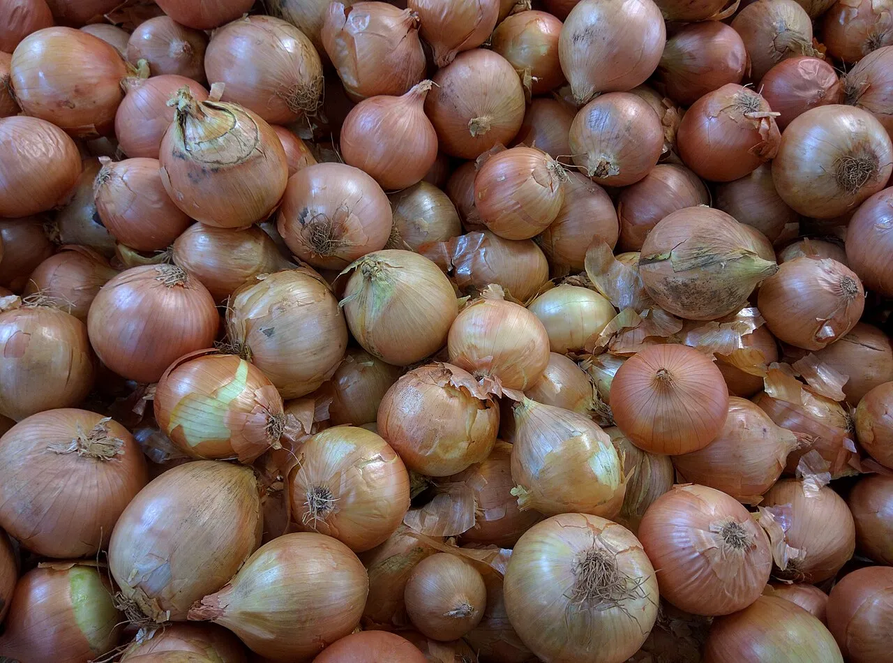 Brown Onions