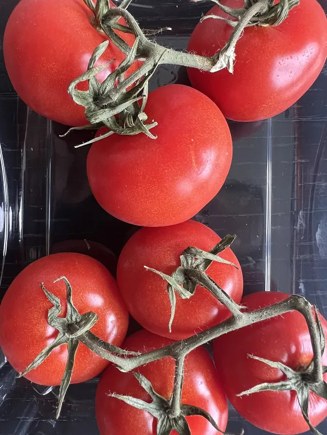 Vine Tomatoes