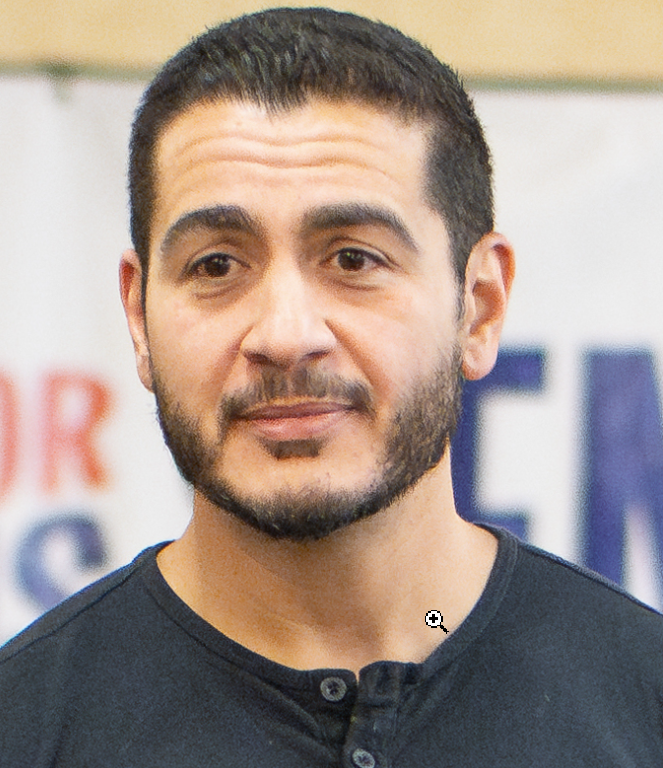 Abdulrahman Mohamed El-Sayed